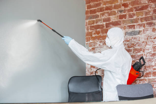 Best Mold Odor Removal Services  in Madison, NJ
