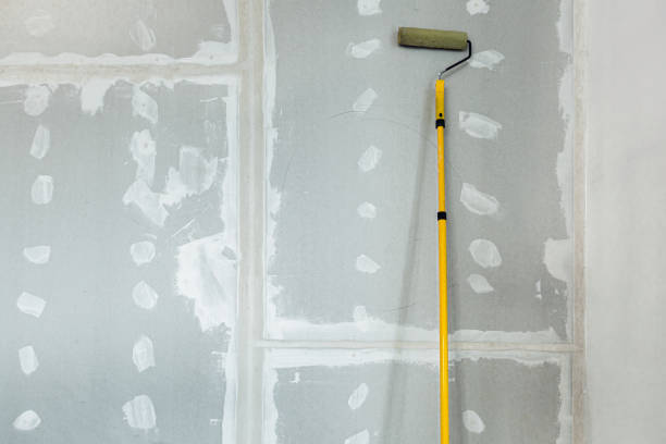 Best Residential Mold Inspection & Testing  in Madison, NJ