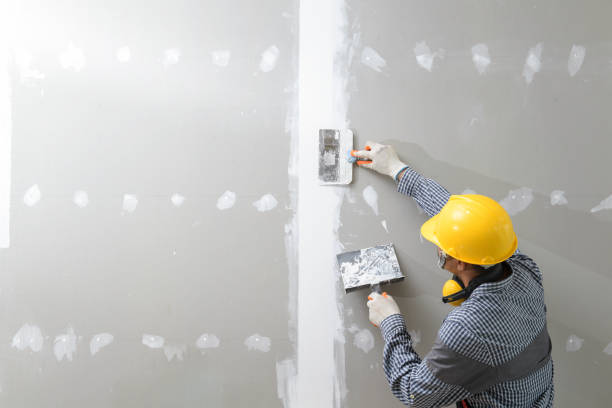 Mold Odor Removal Services in Madison, NJ