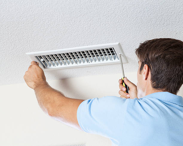 Best Industrial Mold Remediation  in Madison, NJ